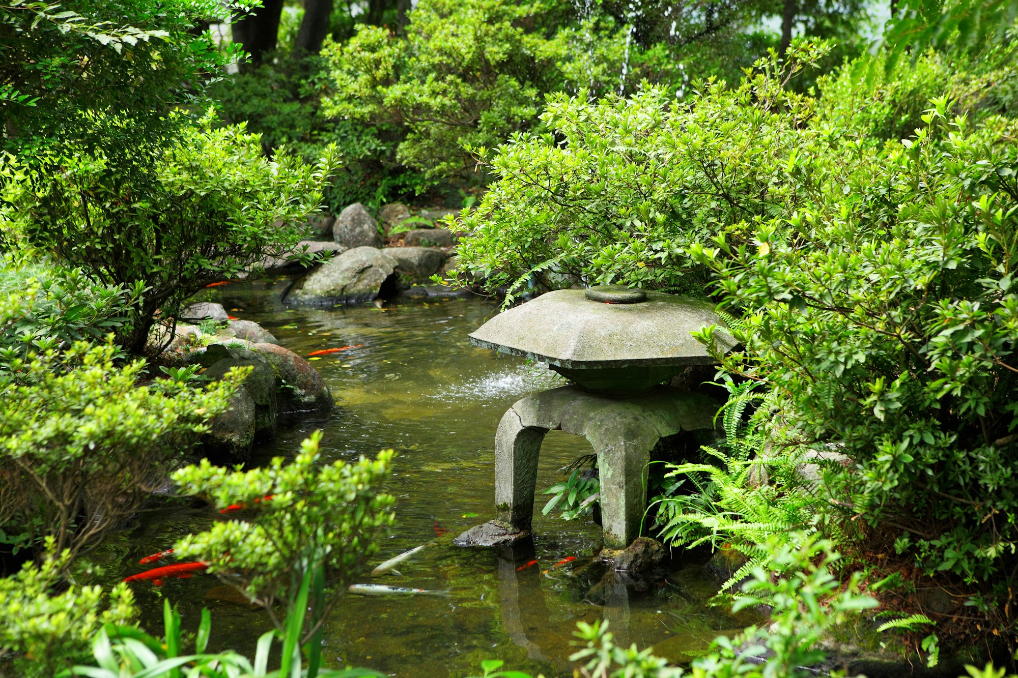 Japanese garden